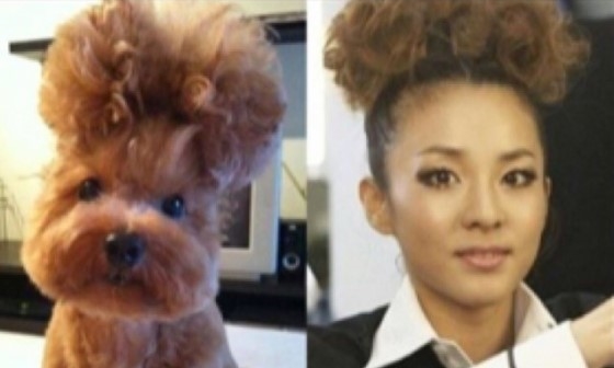 2NE1のDARA、子犬と同じヘアスタイル…爆笑