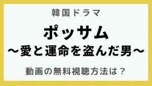 韓流エンターテインメント_韓国ドラマ_ポッサム～愛と運命を盗んだ男～