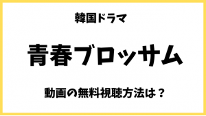 青春ブロッサム(韓ドラ)netflixでみれない！無料フル動画の日本語字幕/吹替の視聴方法は？