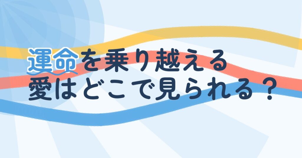『青春ウォルダム～運命を乗り越えて～』の配信はどこ？あらすじとキャスト、見どころを解説