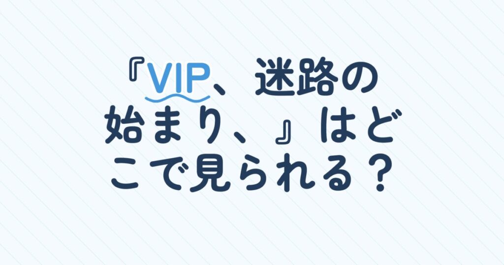 『VIP －迷路の始まり－』の配信はどこ？あらすじとキャスト、見どころを解説